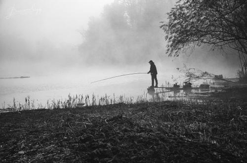 misty fishman