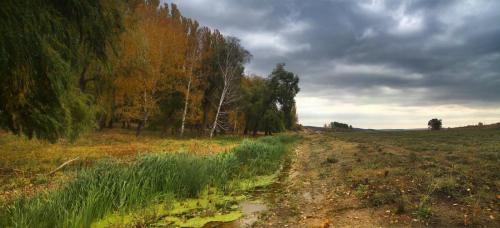 autumnal day