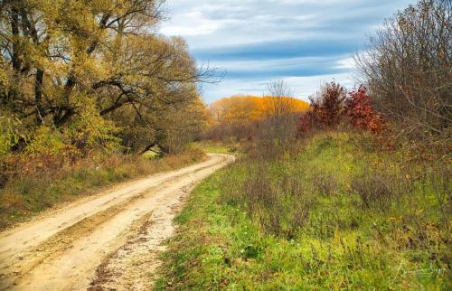 autumn roads