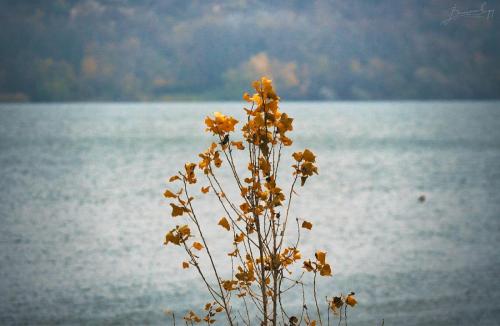 alone over the river