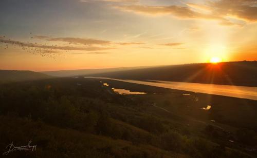 sunrice