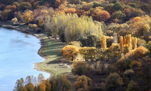 autumn river